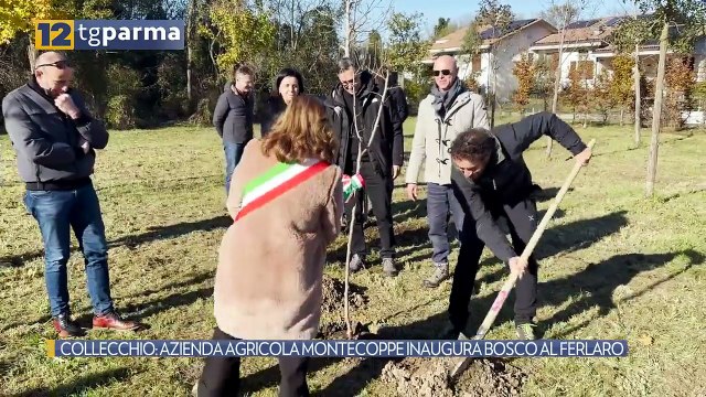 COLLECCHIO: AZIENDA AGRICOLA MONTECOPPE INAUGURA BOSCO AL FERLARO | COLLECCHIO: AZIENDA AGRICOLA MONTECOPPE INAUGURA BOSCO AL FERLARO