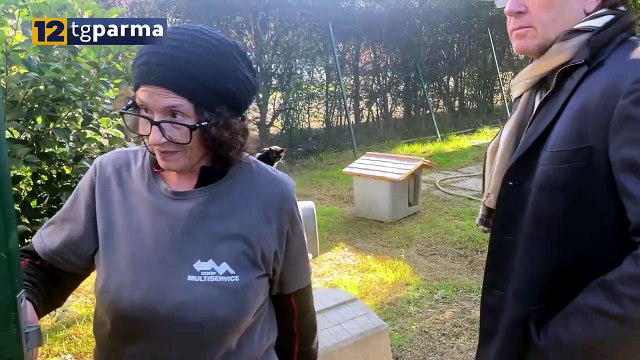 CANILE COMUNALE, VIGNALI ATTACCA: TROPPI PROBLEMI IRRISOLTI | CANILE COMUNALE, VIGNALI ATTACCA: TROPPI PROBLEMI IRRISOLTI