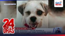 Aso na mahigit 1 taon nawala, muling nakapiling ang kanyang amo | 24 Oras