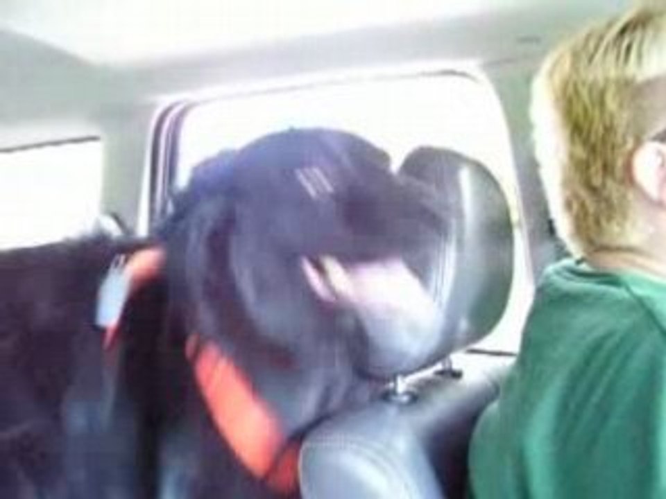 Sharell and Bear