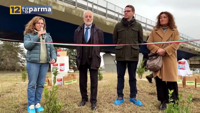 NUOVI FIORI E ARBUSTI PER DUE ROTATORIE LUNGO VIA TRAVERSETOLO | NUOVI FIORI E ARBUSTI PER DUE ROTATORIE LUNGO VIA TRAVERSETOLO