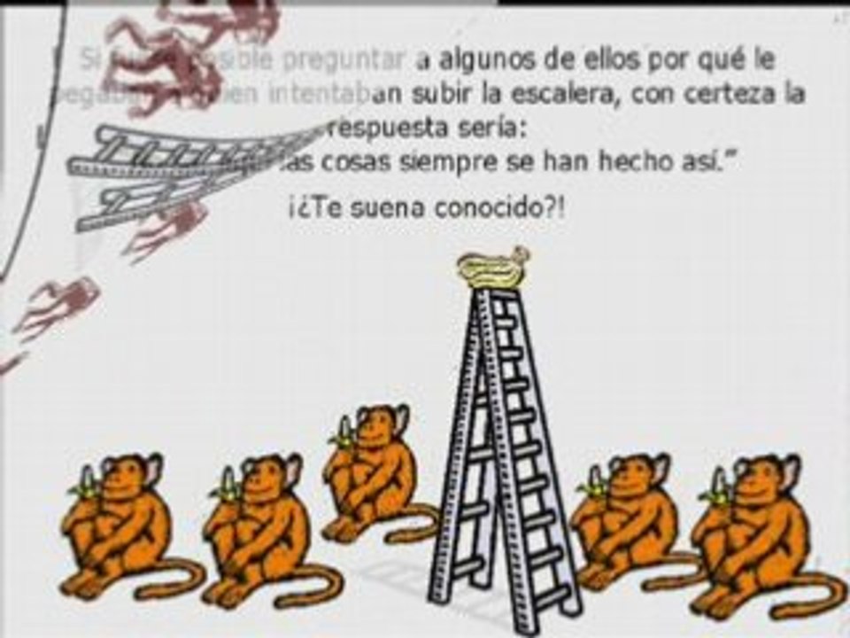 Como nace un paradigma