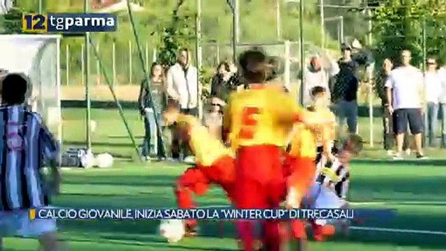 CALCIO GIOVANILE, INIZIA SABATO LA WINTER CUP DI TRECASALI | CALCIO GIOVANILE, INIZIA SABATO LA WINTER CUP DI TRECASALI