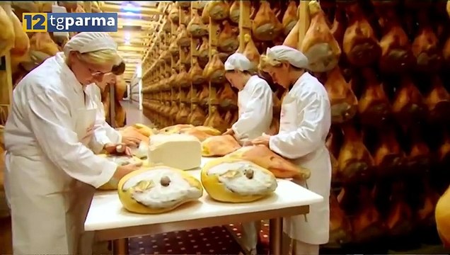 PROSCIUTTO DI PARMA E TRANSIZIONE ECOLOGICA: PROGETTO PRESENTATO A MILANO | PROSCIUTTO DI PARMA E TRANSIZIONE ECOLOGICA: PROGETTO PRESENTATO A MILANO