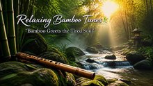 Relaxing Bamboo Tunes - Bamboo Greets the Tired Soul