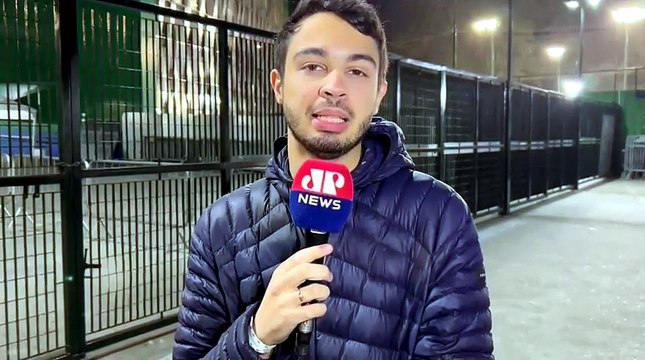 Pedro Marques: Palmeiras mantém marca impressionante na Libertadores