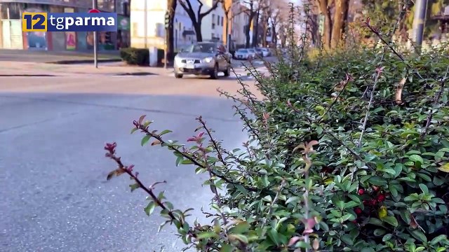 AGGREDISCONO I CARABINIERI DOPO LO SCHIANTO, ARRESTATI | AGGREDISCONO I CARABINIERI DOPO LO SCHIANTO, ARRESTATI