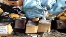 whatsapp video 2026-05-29 at 10.07.11.mp4
