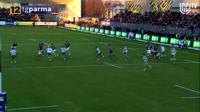 RUGBY, A FEBBRAIO LA DECISIONE SUL FUTURO DELLE ZEBRE | RUGBY, A FEBBRAIO LA DECISIONE SUL FUTURO DELLE ZEBRE