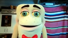All the Timmy and PuppetJi ZOOM calls.