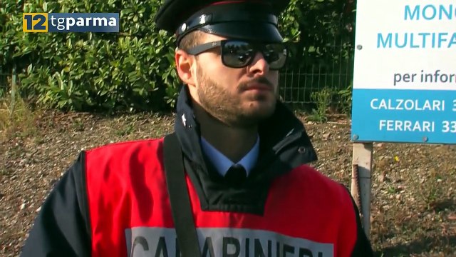 LADRO SERIALE ARRESTATO: 15 COLPI TRA PARMA E PROVINCIA | LADRO SERIALE ARRESTATO: 15 COLPI TRA PARMA E PROVINCIA
