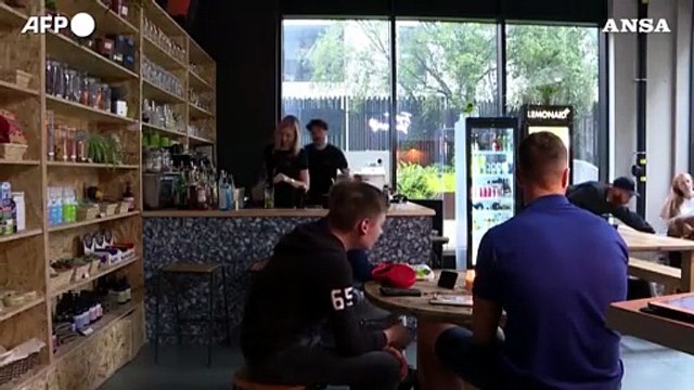 Londra, cocktail per cani e per il loro padroni al locale After Bark