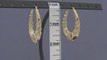Gold Shrimp Door knocker oval Hoop Earrings 1 3/4 Inch