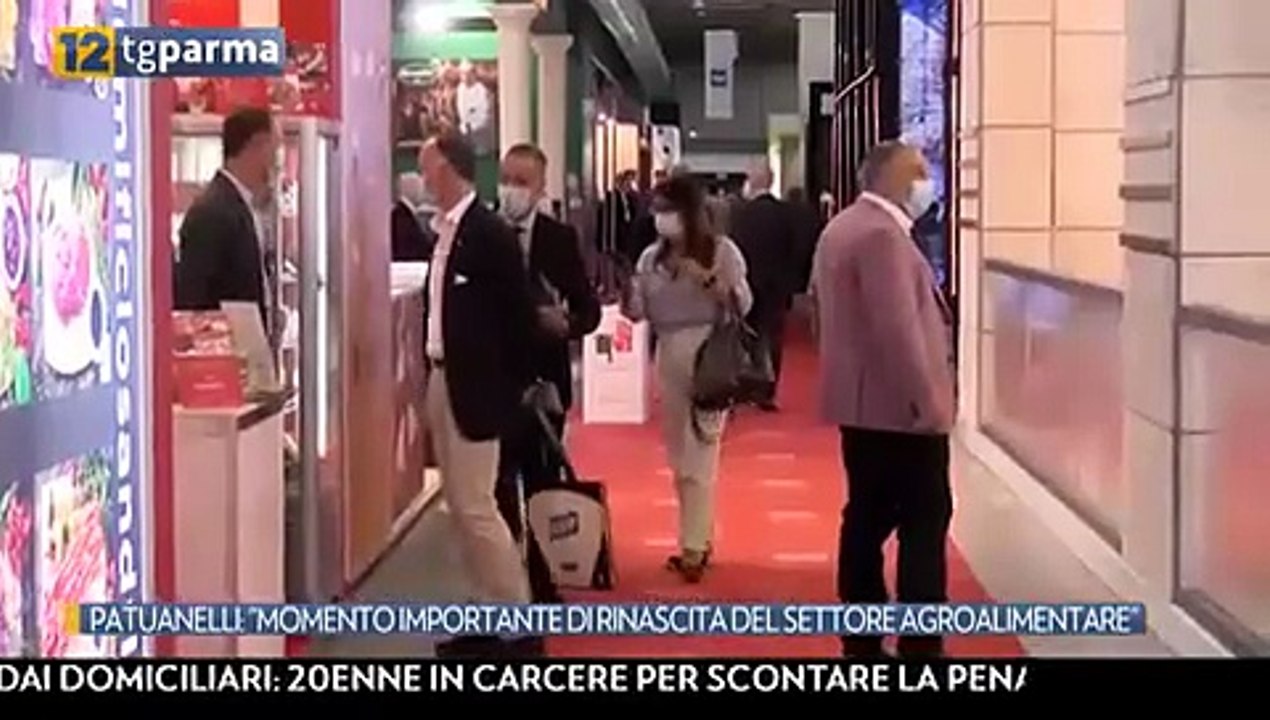 intervista patuanelli cibus