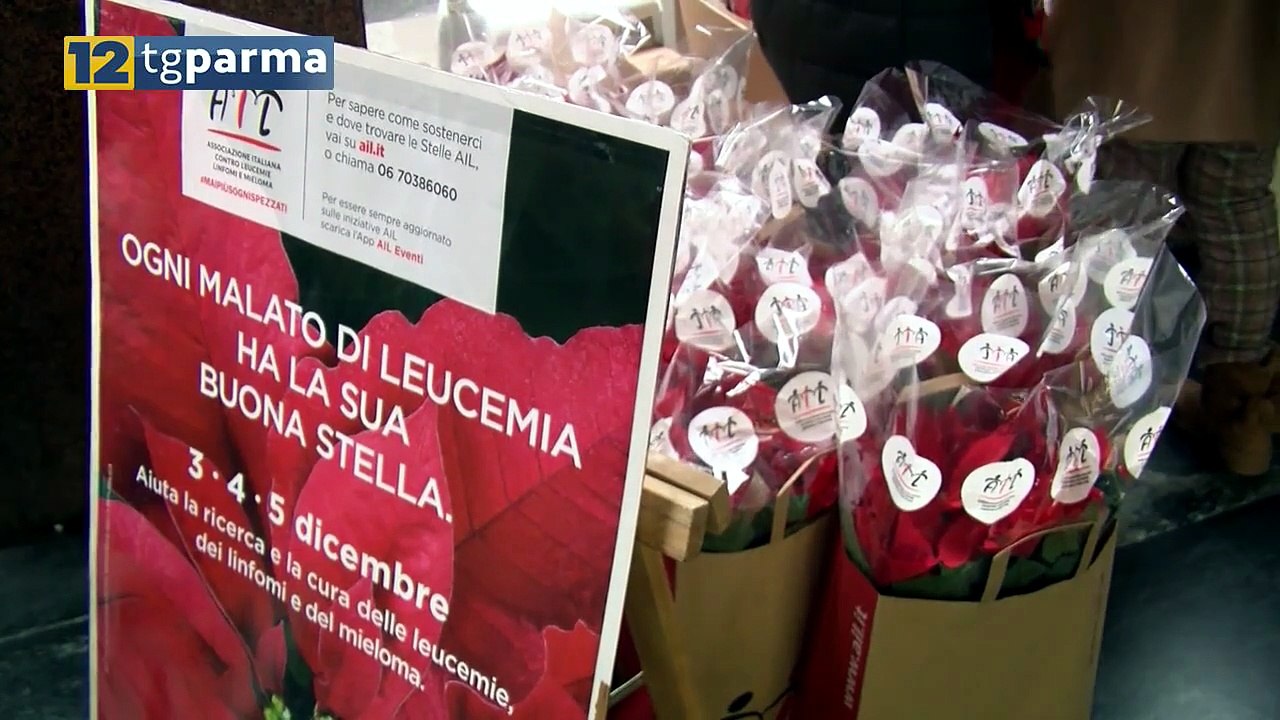 ADDIO ALL'EMATOLOGO VITTORIO RIZZOLI, AVEVA 86 ANNI. ERA PRESIDENTE DELL'AIL | ADDIO ALL'EMATOLOGO VITTORIO RIZZOLI, AVEVA 86 ANNI. ERA PRESIDENTE DELL'AIL