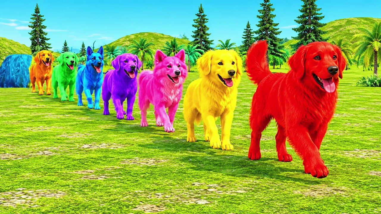 Paint Animals Dog Breeds Cartoon Husky German Shepherd Bulldog Fountain Crossing Animal Cartoon