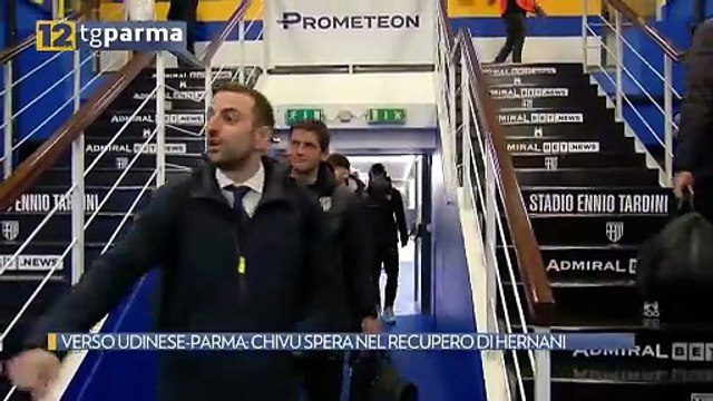 VERSO UDINESE-PARMA: CHIVU SPERA NEL RECUPERO DI HERNANI | VERSO UDINESE-PARMA: CHIVU SPERA NEL RECUPERO DI HERNANI