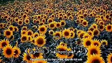 ارح قلبك وسمعك 🖤🎧#راحه_نفسيه #ارح_قلبك_المتعب_قليلاً🤍💫 #ارح_سمعك_وقلبك #القران_الكريم #عبدالرحمن_مسعد