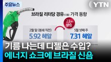 기름 나는데 디젤은 수입?...호르무즈 봉쇄에 신음하는 브라질 / YTN