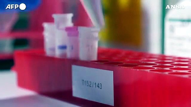 Vaccini, terza dose probabile da ottobre per anziani e fragili