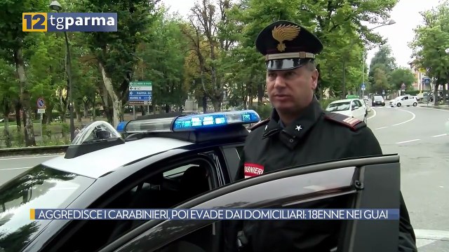 AGGREDISCE I CARABINIERI, POI EVADE DAI DOMICILIARI: 18ENNE NEI GUAI | AGGREDISCE I CARABINIERI, POI EVADE DAI DOMICILIARI: 18ENNE NEI GUAI