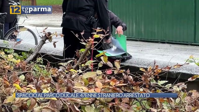 SPACCIO AL PARCO DUCALE, 47ENNE STRANIERO ARRESTATO | SPACCIO AL PARCO DUCALE, 47ENNE STRANIERO ARRESTATO