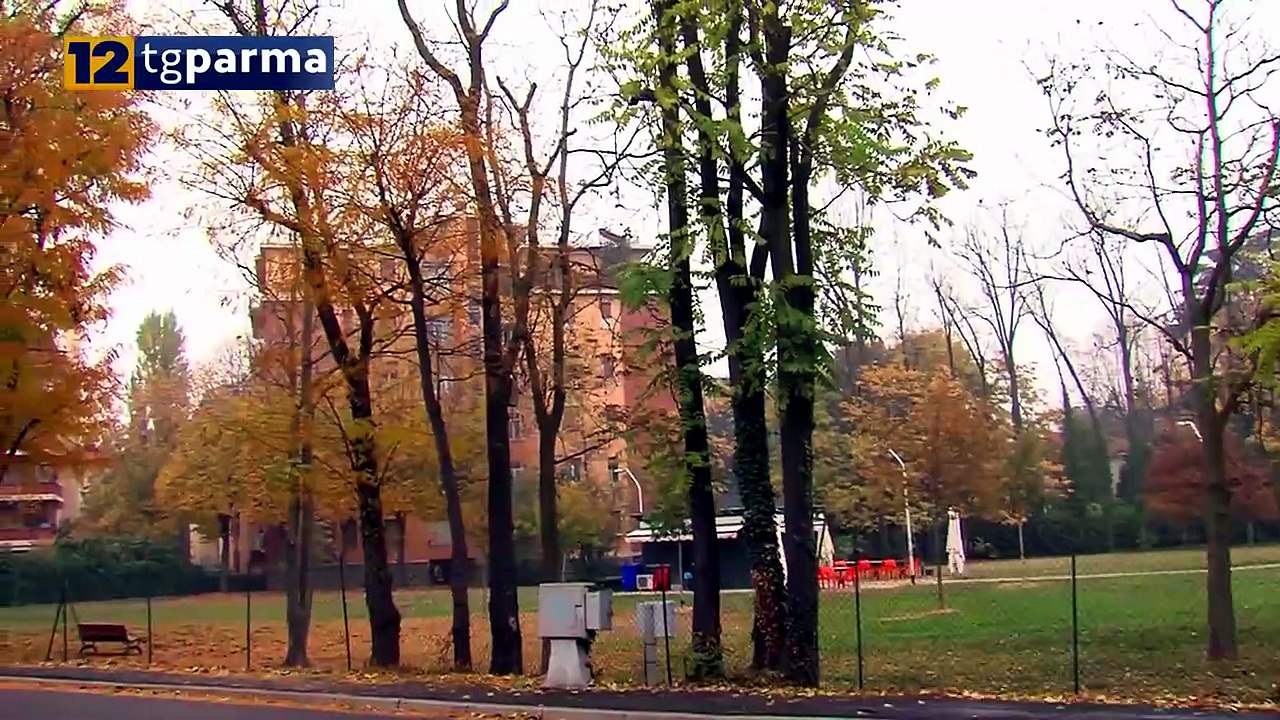 LADRO AL CHIOSCO DI VIA BIZZOZERO: 30ENNE DENUNCIATO | LADRO AL CHIOSCO DI VIA BIZZOZERO: 30ENNE DENUNCIATO