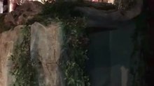 Crèche de st sat 2018