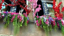 video jean pierre 295