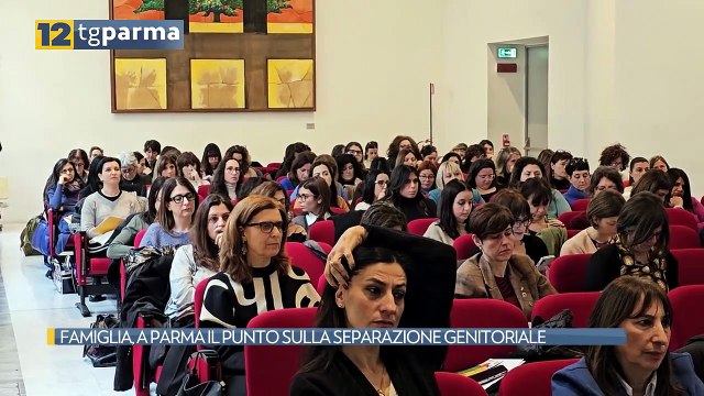 FAMIGLIA, A PARMA IL PUNTO SULLA SEPARAZIONE GENITORIALE | FAMIGLIA, A PARMA IL PUNTO SULLA SEPARAZIONE GENITORIALE