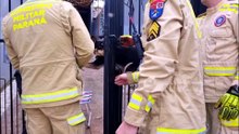 Cachorrinha é resgatada após ficar presa na grade do portão no Santa Cruz