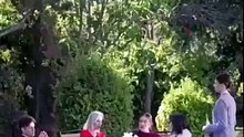 The Rejected Luna Is The Alpha