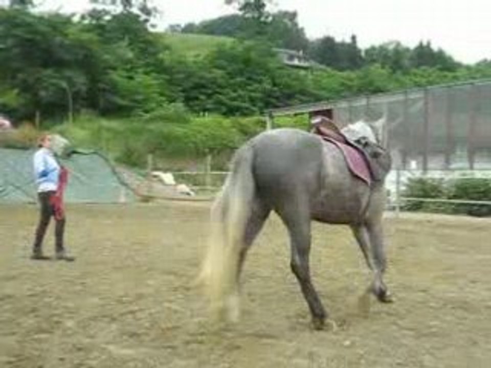 Romeo 4