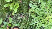 New & Now: Garden Jobs, Earthy Pinks & Magazine Must-Haves
