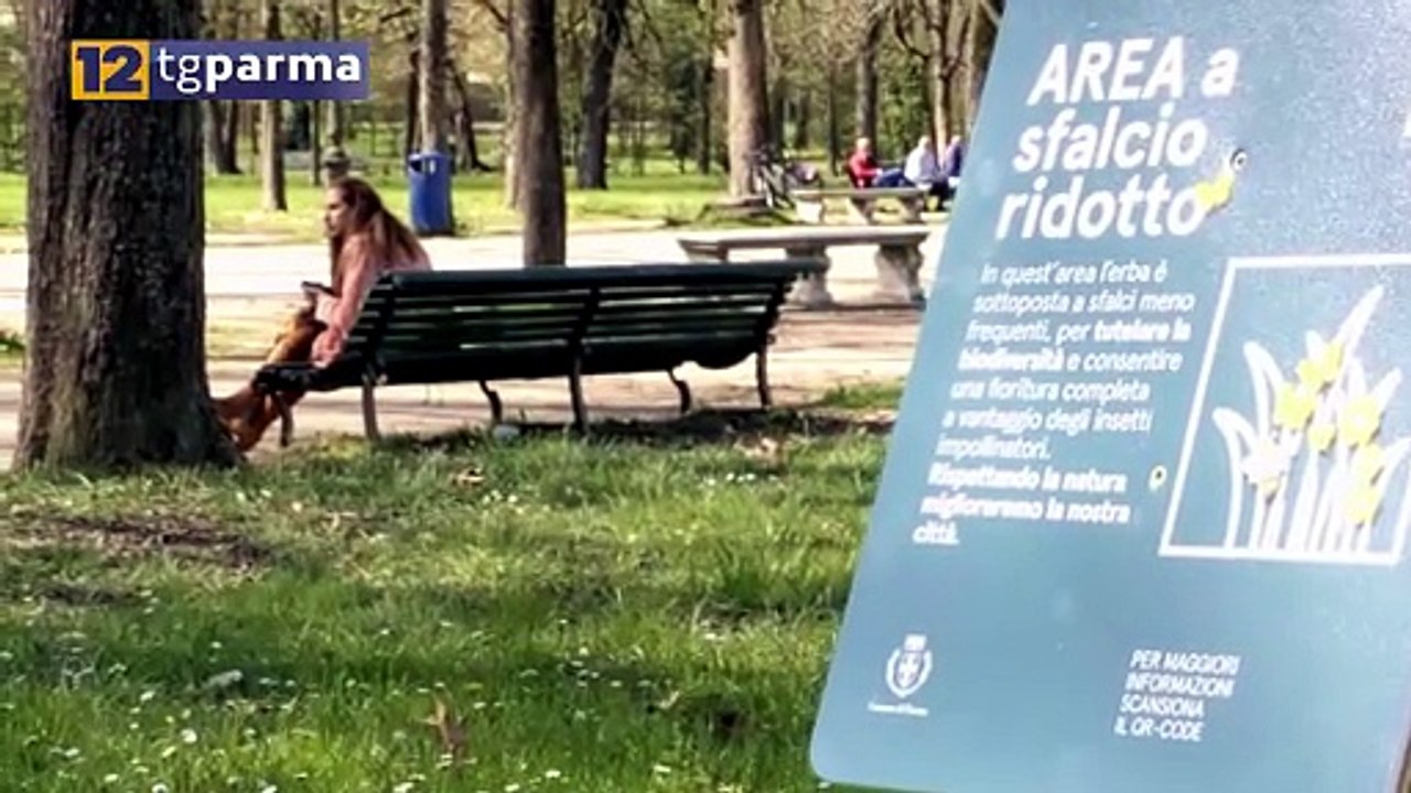 VERDE URBANO, IN CHIUSURA IL PRIMO CICLO DI SFALCI PRIMAVERILI | VERDE URBANO, IN CHIUSURA IL PRIMO CICLO DI SFALCI PRIMAVERILI