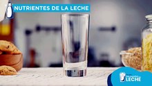 Día Mundial de la Leche: por qué es tan importante en todas las etapas de la vida