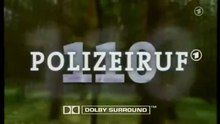 Polizeiruf 110 -289- Jenseits