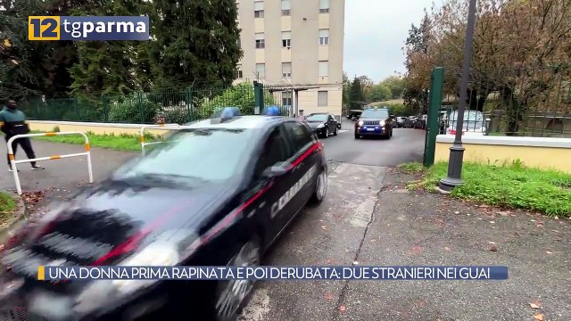 UNA DONNA PRIMA RAPINATA E POI DERUBATA: DUE STRANIERI NEI GUAI | UNA DONNA PRIMA RAPINATA E POI DERUBATA: DUE STRANIERI NEI GUAI