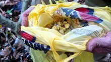 Nova ofensiva policial prende mais um em ‘biqueira’ de drogas no Cancelli