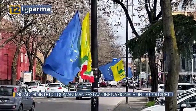 NO AI CIBI SINTETICI: DOMANI MANIFESTAZIONE NAZIONALE DELLA COLDIRETTI | NO AI CIBI SINTETICI: DOMANI MANIFESTAZIONE NAZIONALE DELLA COLDIRETTI