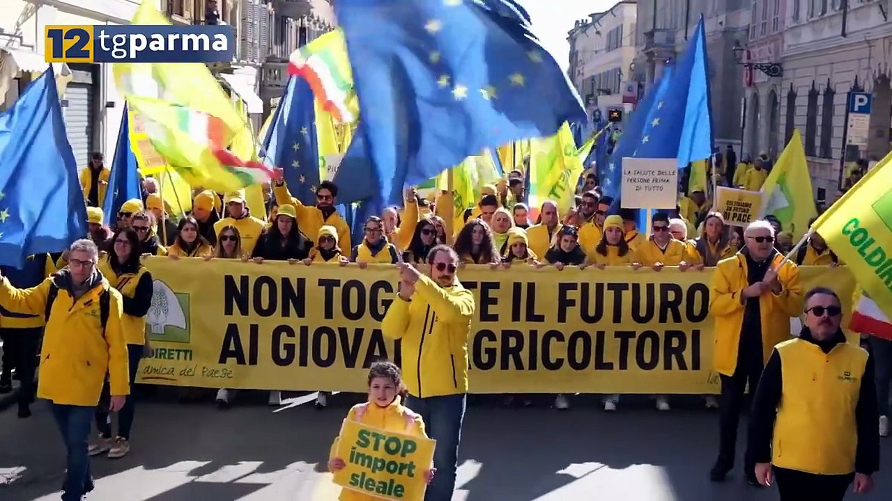CIBI SINTETICI, COLDIRETTI: "SODDISFATTI DOPO L'INCONTRO CON L'EFSA" | CIBI SINTETICI, COLDIRETTI: "SODDISFATTI DOPO L'INCONTRO CON L'EFSA"