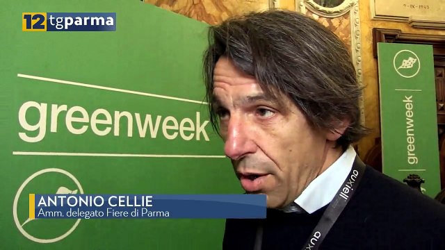 CELLIE SU DAZI USA: PENALIZZERANNO SOPRATTUTTO PRODOTTI A BASSO COSTO | CELLIE SU DAZI USA: PENALIZZERANNO SOPRATTUTTO PRODOTTI A BASSO COSTO