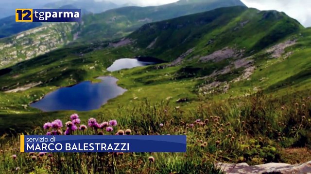DAL CRINALE AL PO, MOSTRA FOTOGRAFICA A PALAZZO GIORDANI | DAL CRINALE AL PO, MOSTRA FOTOGRAFICA A PALAZZO GIORDANI