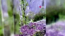 Erzurum’da ceviz büyüklüğünde dolu yağdı