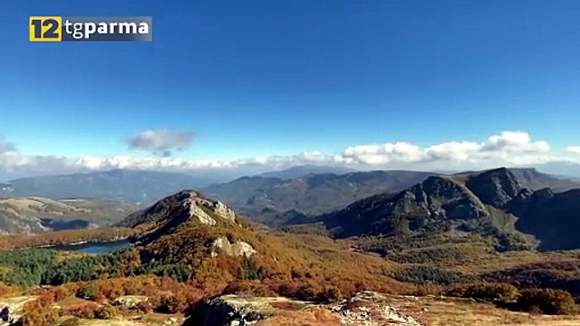 PESTE SUINA AFRICANA, VIA LE RESTRIZIONI IN 4 COMUNI PARMENSI | PESTE SUINA AFRICANA, VIA LE RESTRIZIONI IN 4 COMUNI PARMENSI