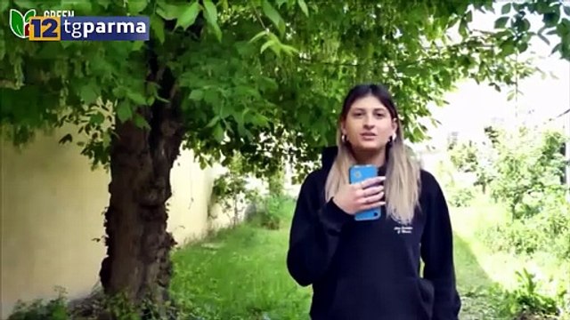 STORIE DI ALTERNANZA : ALLA CAMERA DI COMMERCIO PREMIATE LE SCUOLE VINCITRICI | STORIE DI ALTERNANZA : ALLA CAMERA DI COMMERCIO PREMIATE LE SCUOLE VINCITRICI