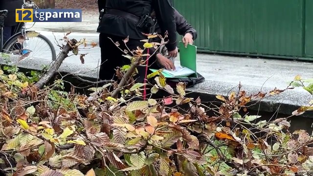 SPACCIO AL PARCO DUCALE, 47ENNE STRANIERO ARRESTATO | SPACCIO AL PARCO DUCALE, 47ENNE STRANIERO ARRESTATO