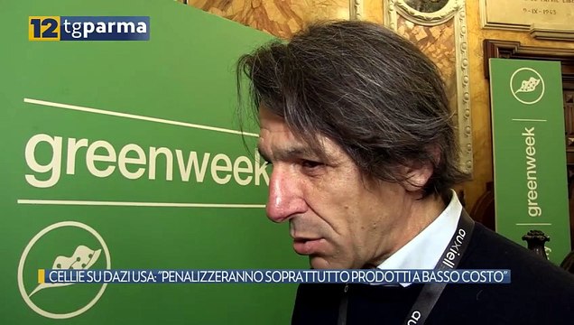 CELLIE SU DAZI USA: PENALIZZERANNO SOPRATTUTTO PRODOTTI A BASSO COSTO | CELLIE SU DAZI USA: PENALIZZERANNO SOPRATTUTTO PRODOTTI A BASSO COSTO