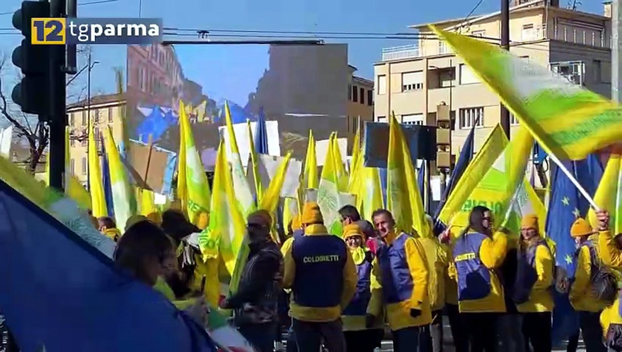 MANIFESTAZIONE COLDIRETTI, TRAFFICO CONGESTIONATO IN MEZZA CITTÀ | MANIFESTAZIONE COLDIRETTI, TRAFFICO CONGESTIONATO IN MEZZA CITTÀ