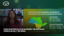 Vazio sanitário da soja na região 1 de São Paulo começa no dia 1º de junho
